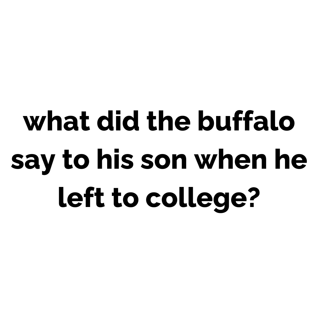 Bison